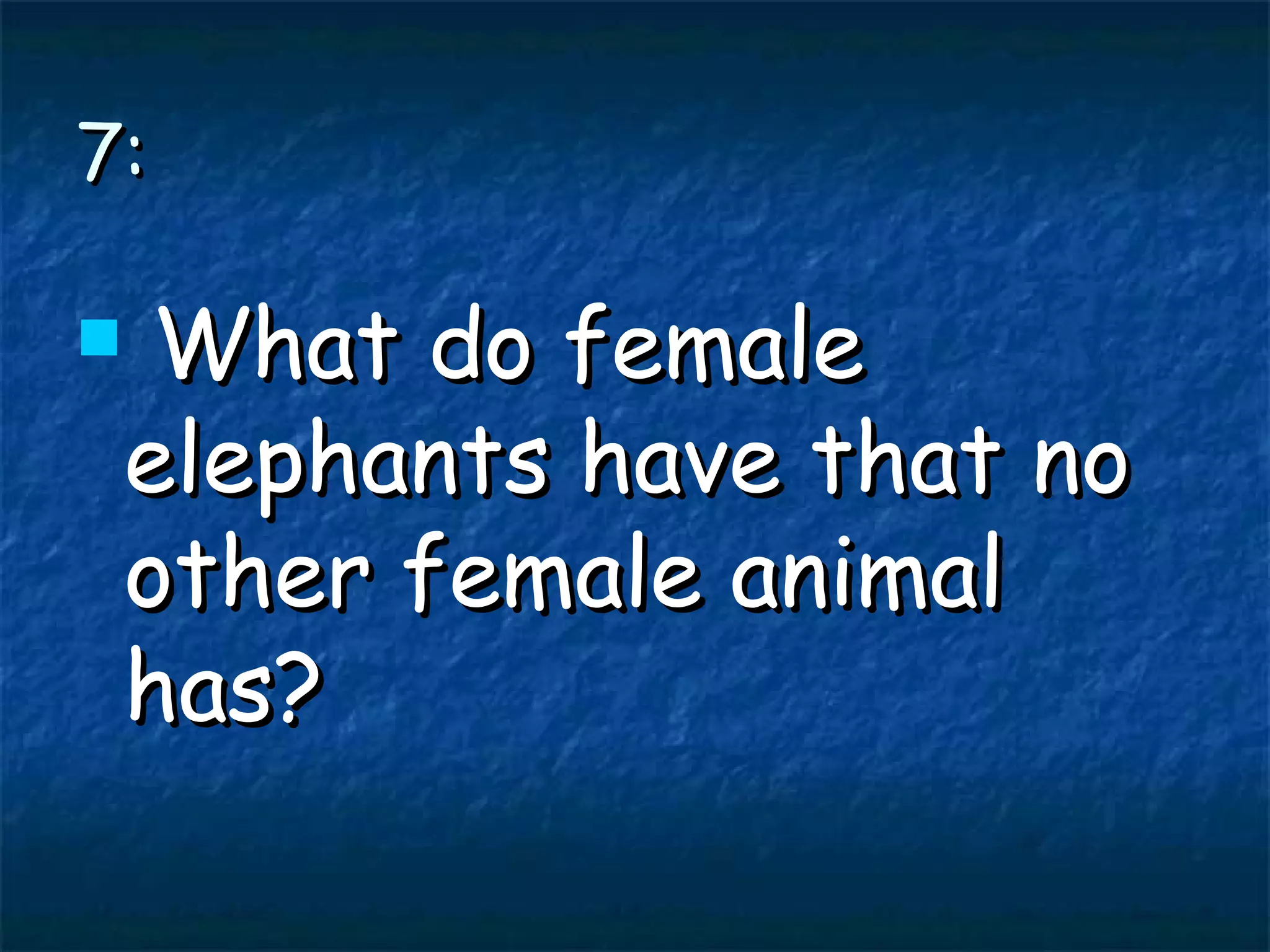 7: What do female elephants have that no other female animal has?