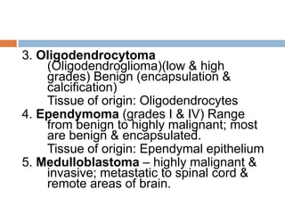 BRAIN-TUMORS.pptx