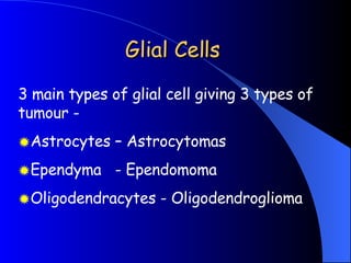 Glial Cells <ul><li>3 main types of glial cell giving 3 types of tumour -  </li></ul><ul><li>Astrocytes – Astrocytomas </l...