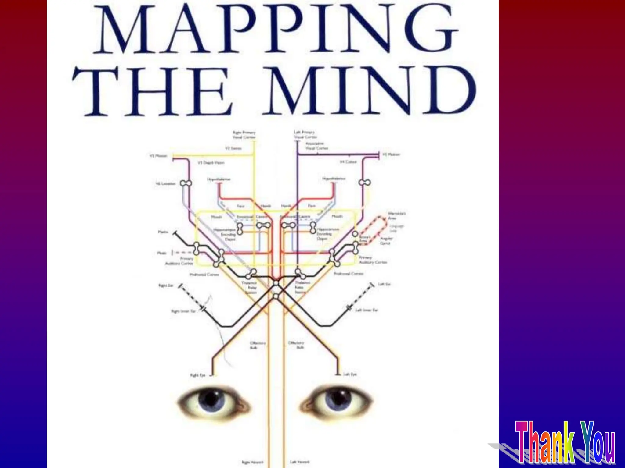 AI on brain - waves activity ppt4916.ppt