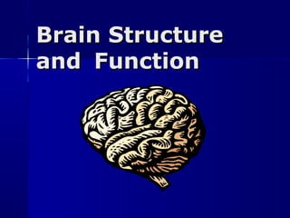 Brain StructureBrain Structure
andand FunctionFunction
 