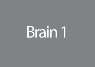 Aula Brain 2