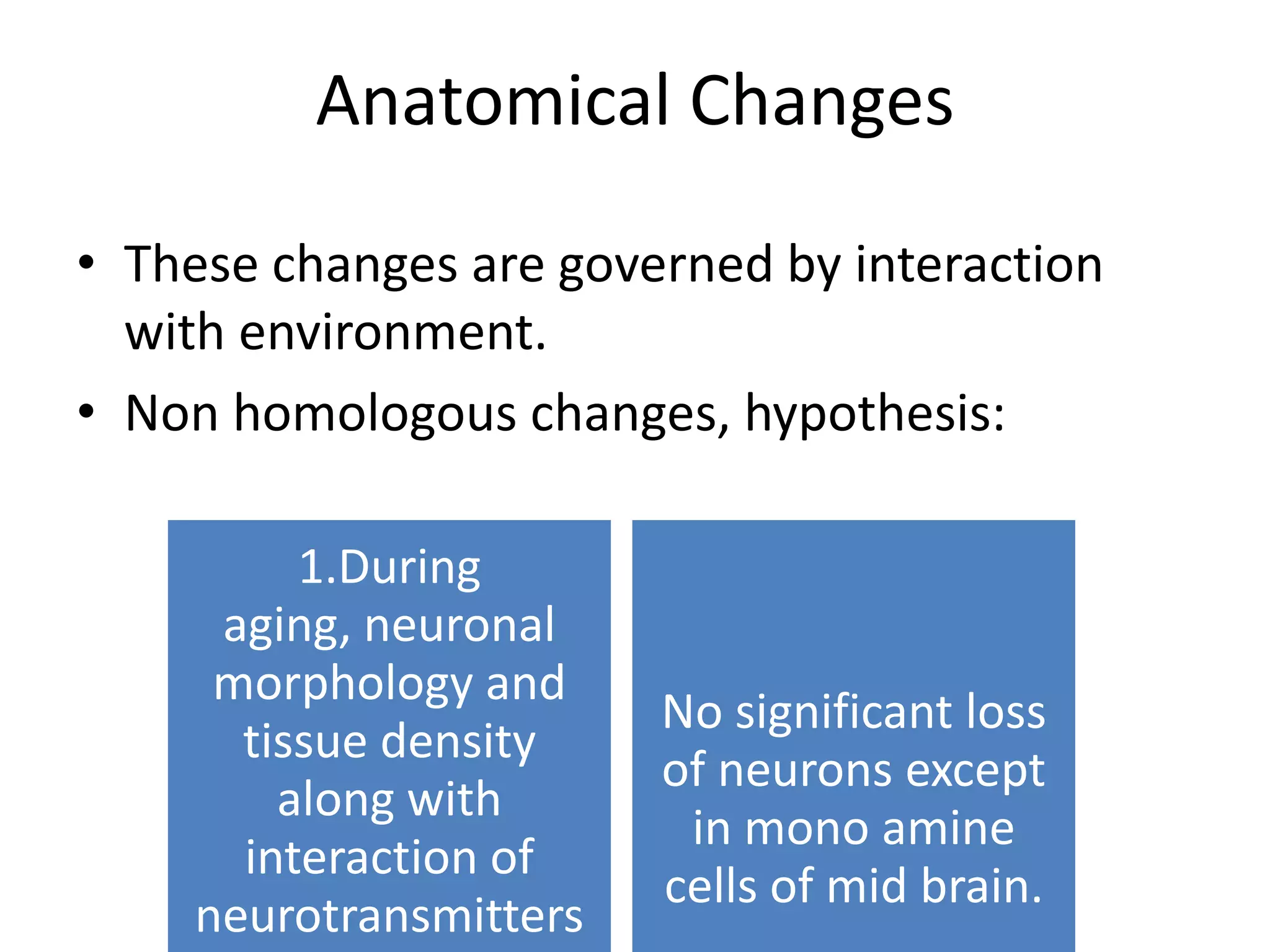 Anatomical Changes
• These changes are governed by interaction
with environment.
• Non homologous changes, hypothesis:
1.During
aging, neuronal
morphology and
tissue density
along with
interaction of
neurotransmitters

No significant loss
of neurons except
in mono amine
cells of mid brain.

 