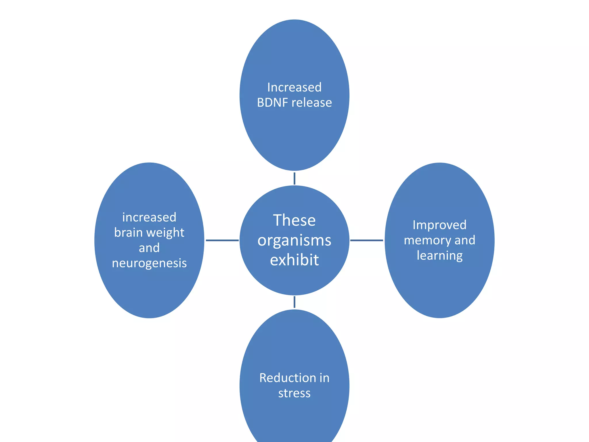 Increased
BDNF release

increased
brain weight
and
neurogenesis

These
organisms
exhibit

Reduction in
stress

Improved
memory and
learning

 