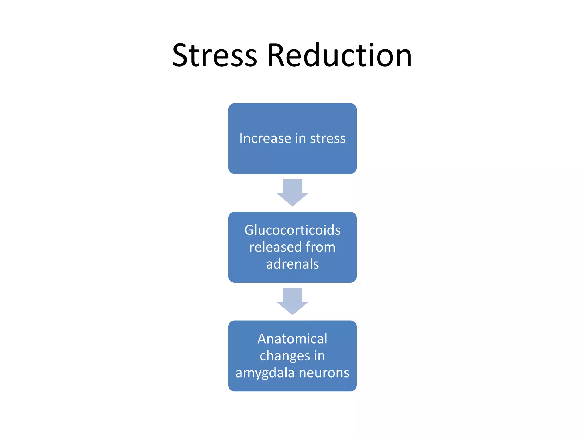 Stress Reduction
Increase in stress

Glucocorticoids
released from
adrenals

Anatomical
changes in
amygdala neurons

 