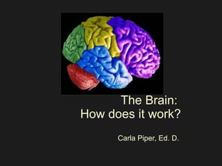 The Brain:  How does it work? Carla Piper, Ed. D. 