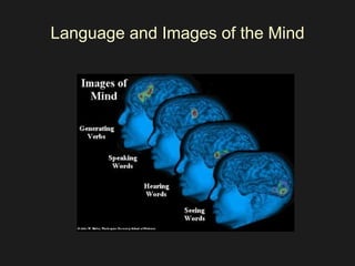 Language and Images of the Mind 