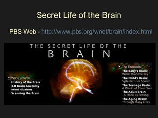 Secret Life of the Brain PBS Web -  http://www.pbs.org/wnet/brain/index.html   