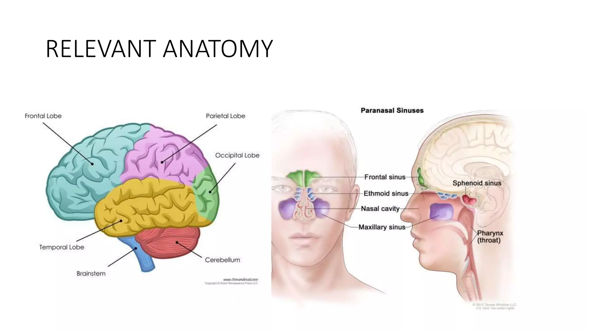 BRAIN ABSCESS.pptx