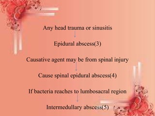 Any head trauma or sinusitis
Epidural abscess(3)
Causative agent may be from spinal injury
Cause spinal epidural abscess(4)
If bacteria reaches to lumbosacral region
Intermedullary abscess(5)
 