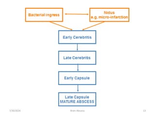 7/30/2024 Brain Abscess 13
 
