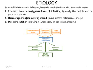 ETIOLOGY
To establish intracranial infection, bacteria reach the brain via three main routes:
1. Extension from a contiguous focus of infection, typically the middle ear or
paranasal sinuses
2. Haematogenous (metastatic) spread from a distant extracranial source
3. Direct inoculation following neurosurgery or penetrating trauma
7/30/2024 5
Brain Abscess
 