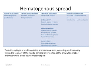 Hematogenous spread
7/30/2024 Brain Abscess 7
Typically, multiple or multi-loculated abscesses are seen, occurring predominantly
within the territory of the middle cerebral artery, often at the grey white matter
interface where blood flow is most marginal
 