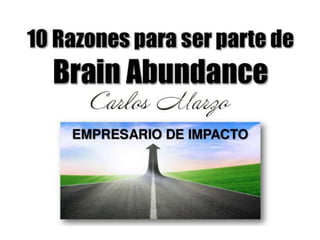 Brain abundance Ecuador