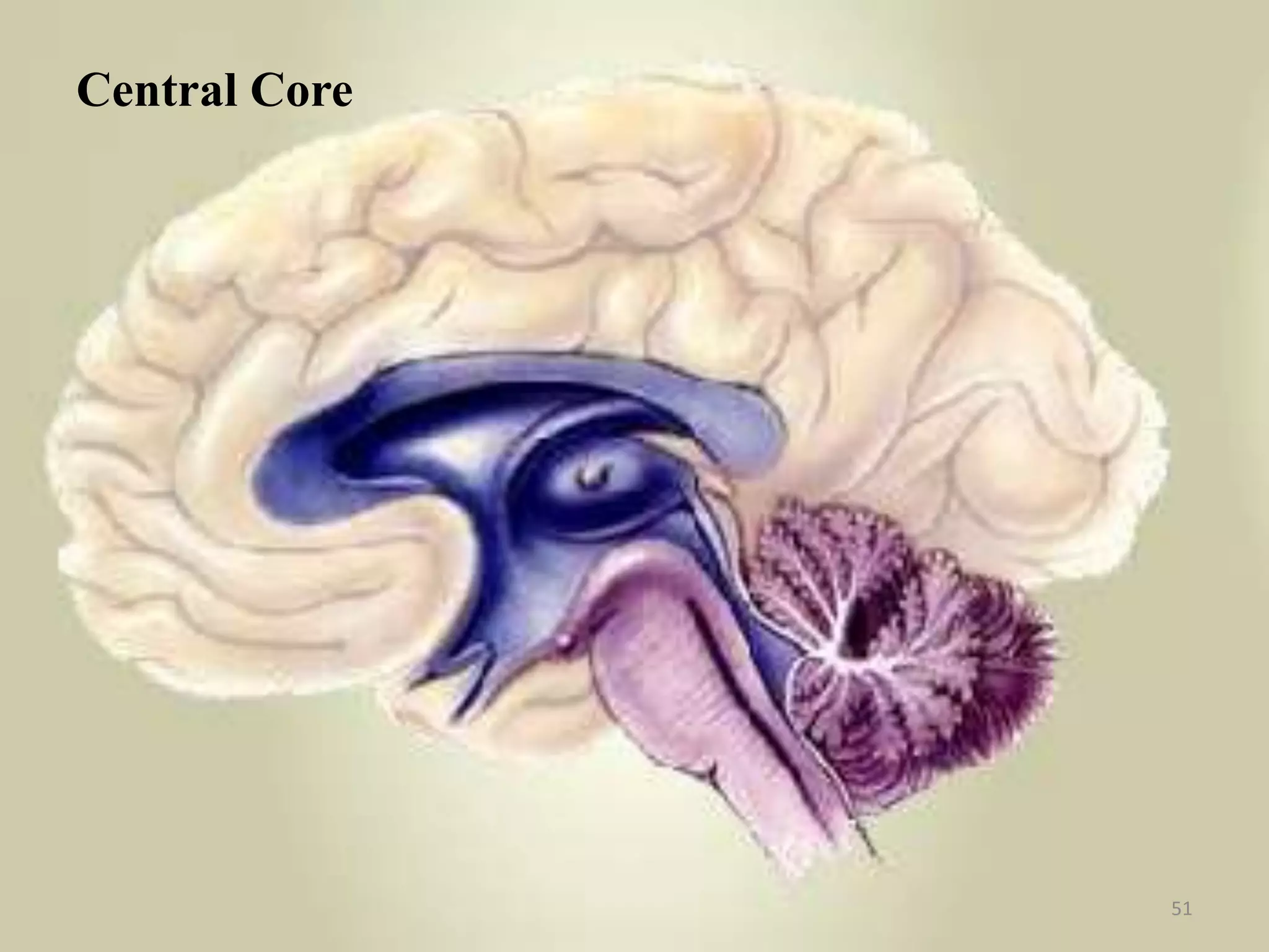 Central Core




               51
 
