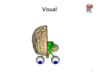 Visual




         39
 