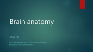 Brain anatomy
DOUBLE M
https://radiopaedia.org/courses/medical-imaging-
anatomy-course-online/pages/14
 