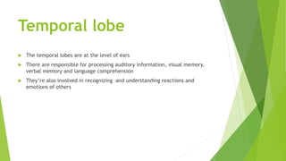 Temporal lobe
 The temporal lobes are at the level of ears
 There are responsible for processing auditory information, v...