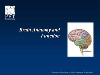 © Copyright 2004 Cardinal Health, Inc. or one of its subsidiaries. All rights reserved.
Brain Anatomy and
Function
 