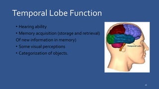 Temporal Functions Brain anatomy and it relationship with behavior | PPTX
