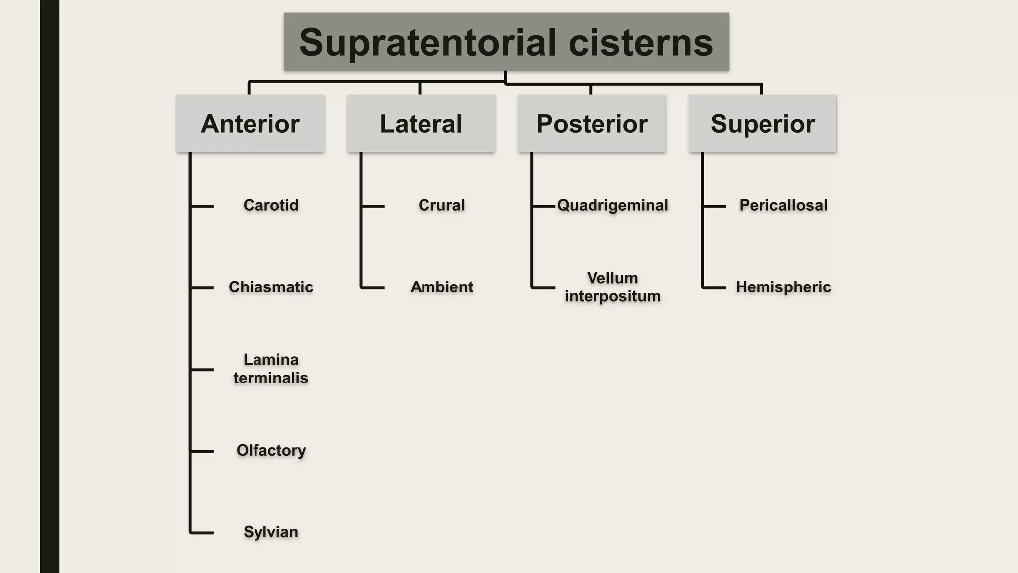 Supratentorial cisterns
Anterior
Carotid
Chiasmatic
Lamina
terminalis
Olfactory
Sylvian
Lateral
Crural
Ambient
Posterior
Quadrigeminal
Vellum
interpositum
Superior
Pericallosal
Hemispheric
 