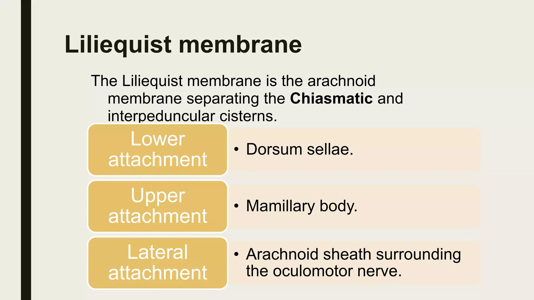 Liliequist membrane
The Liliequist membrane is the arachnoid
membrane separating the Chiasmatic and
interpeduncular cisterns.
• Dorsum sellae.
Lower
attachment
• Mamillary body.
Upper
attachment
• Arachnoid sheath surrounding
the oculomotor nerve.
Lateral
attachment
 