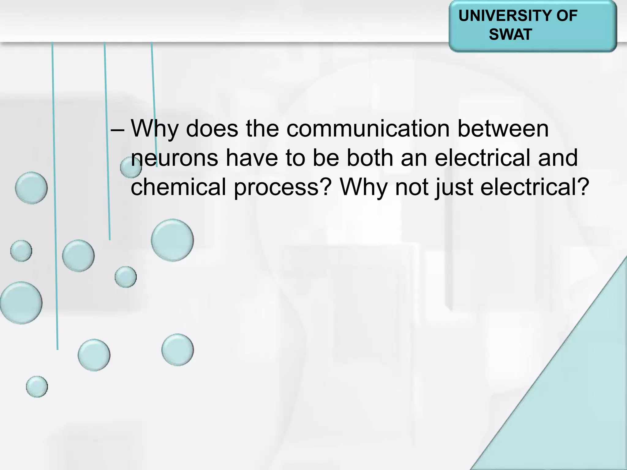 Psychology: A Journey
Chapter 2
– Why does the communication between
neurons have to be both an electrical and
chemical process? Why not just electrical?
UNIVERSITY OF
SWAT
 