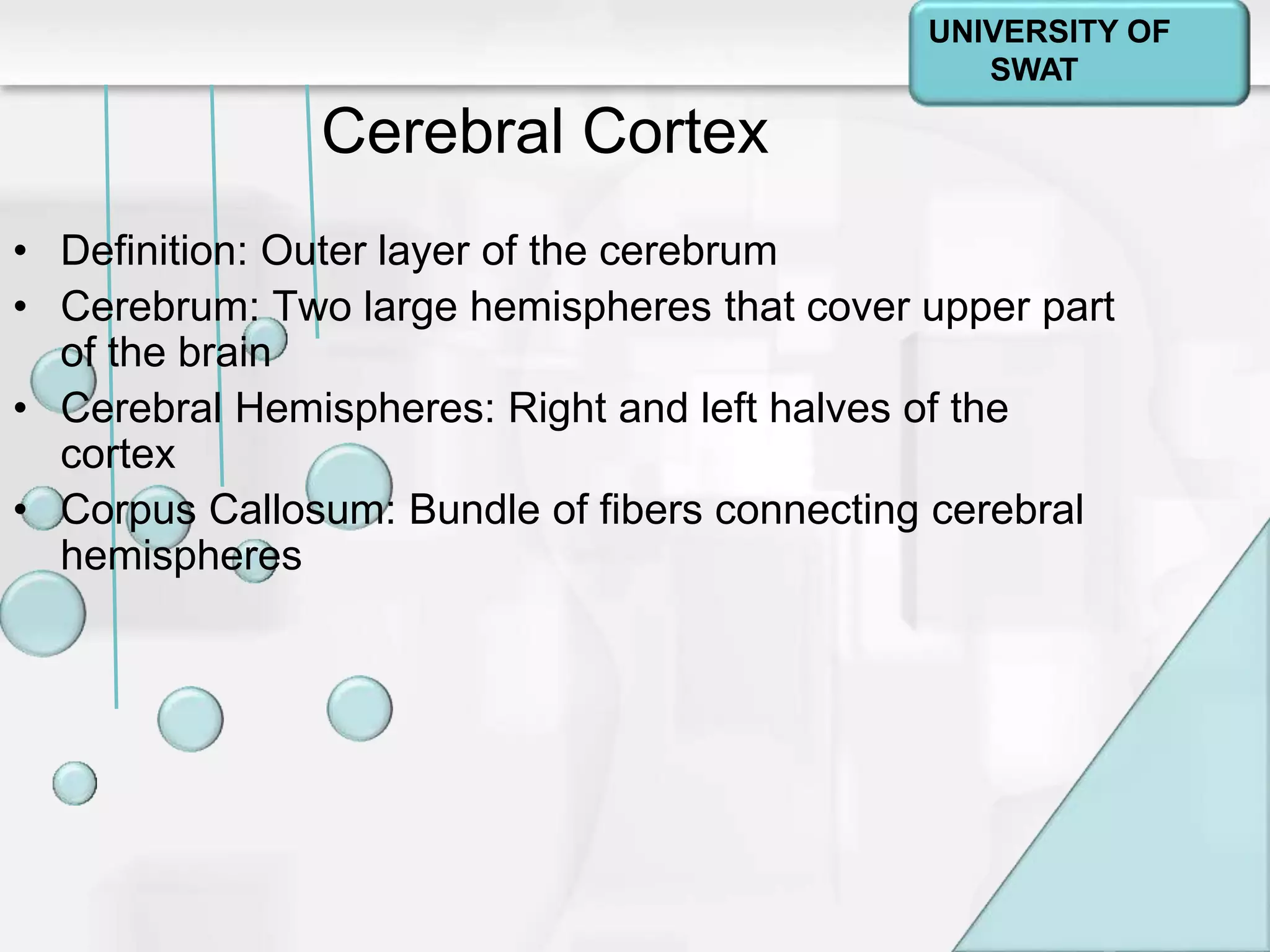 Psychology: A Journey
Chapter 2
• Definition: Outer layer of the cerebrum
• Cerebrum: Two large hemispheres that cover upper part
of the brain
• Cerebral Hemispheres: Right and left halves of the
cortex
• Corpus Callosum: Bundle of fibers connecting cerebral
hemispheres
Cerebral Cortex
UNIVERSITY OF
SWAT
 