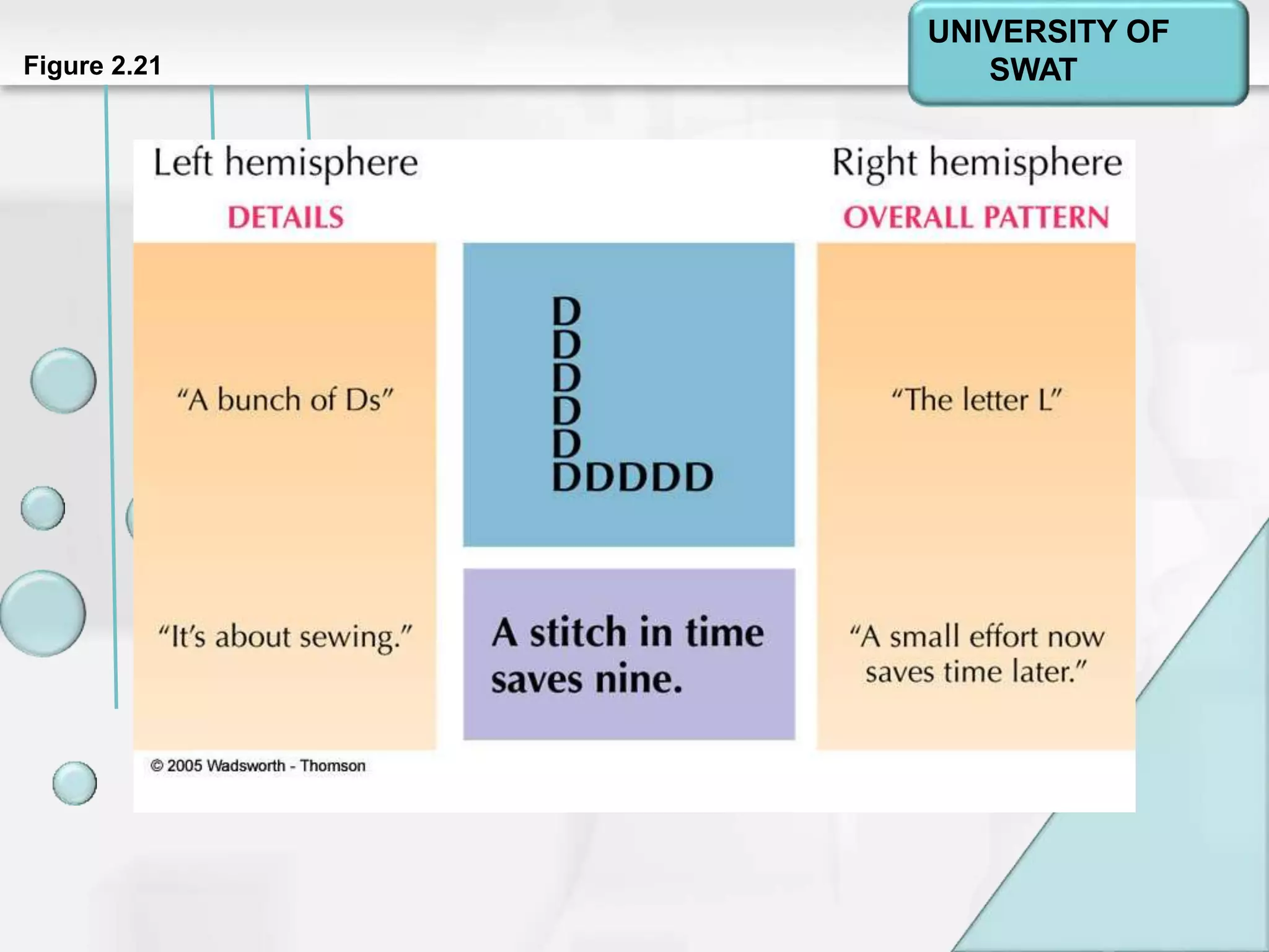 Psychology: A Journey
Chapter 2Figure 2.21
UNIVERSITY OF
SWAT
 
