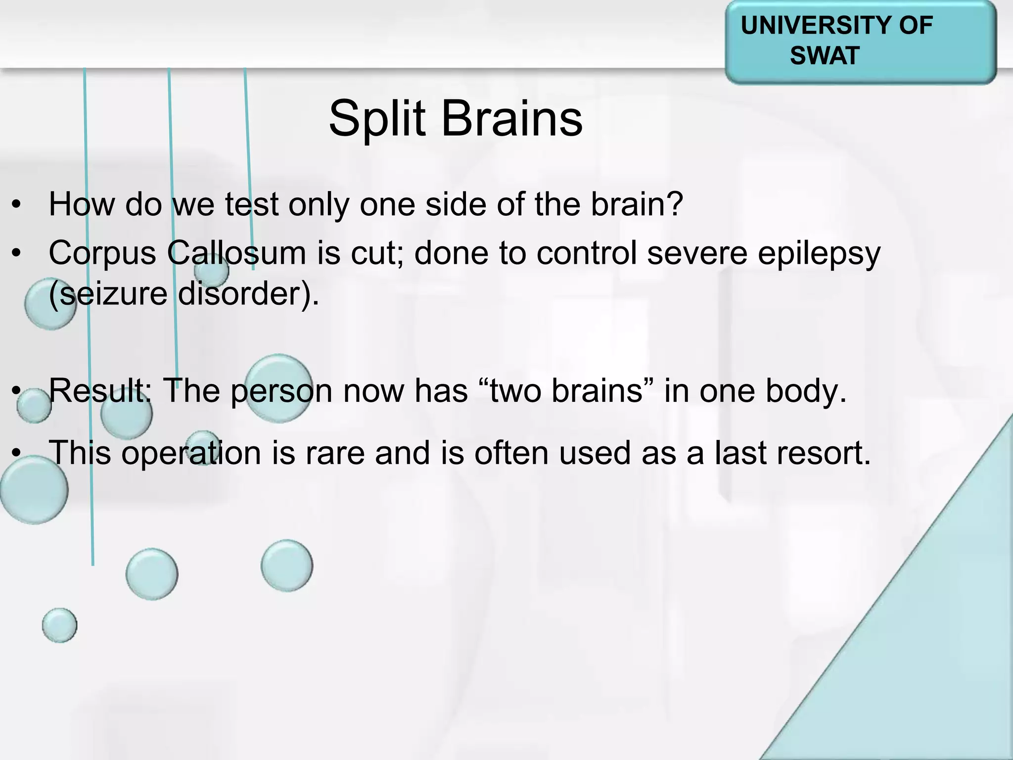 Psychology: A Journey
Chapter 2
Split Brains
• How do we test only one side of the brain?
• Corpus Callosum is cut; done to control severe epilepsy
(seizure disorder).
• Result: The person now has “two brains” in one body.
• This operation is rare and is often used as a last resort.
UNIVERSITY OF
SWAT
 