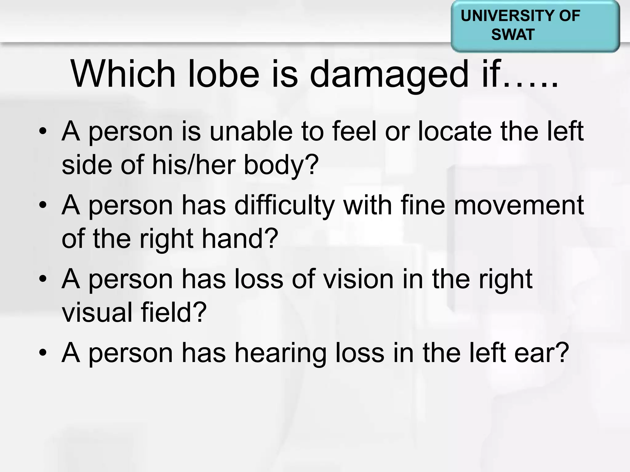 Psychology: A Journey
Chapter 2
Which lobe is damaged if…..
• A person is unable to feel or locate the left
side of his/her body?
• A person has difficulty with fine movement
of the right hand?
• A person has loss of vision in the right
visual field?
• A person has hearing loss in the left ear?
UNIVERSITY OF
SWAT
 