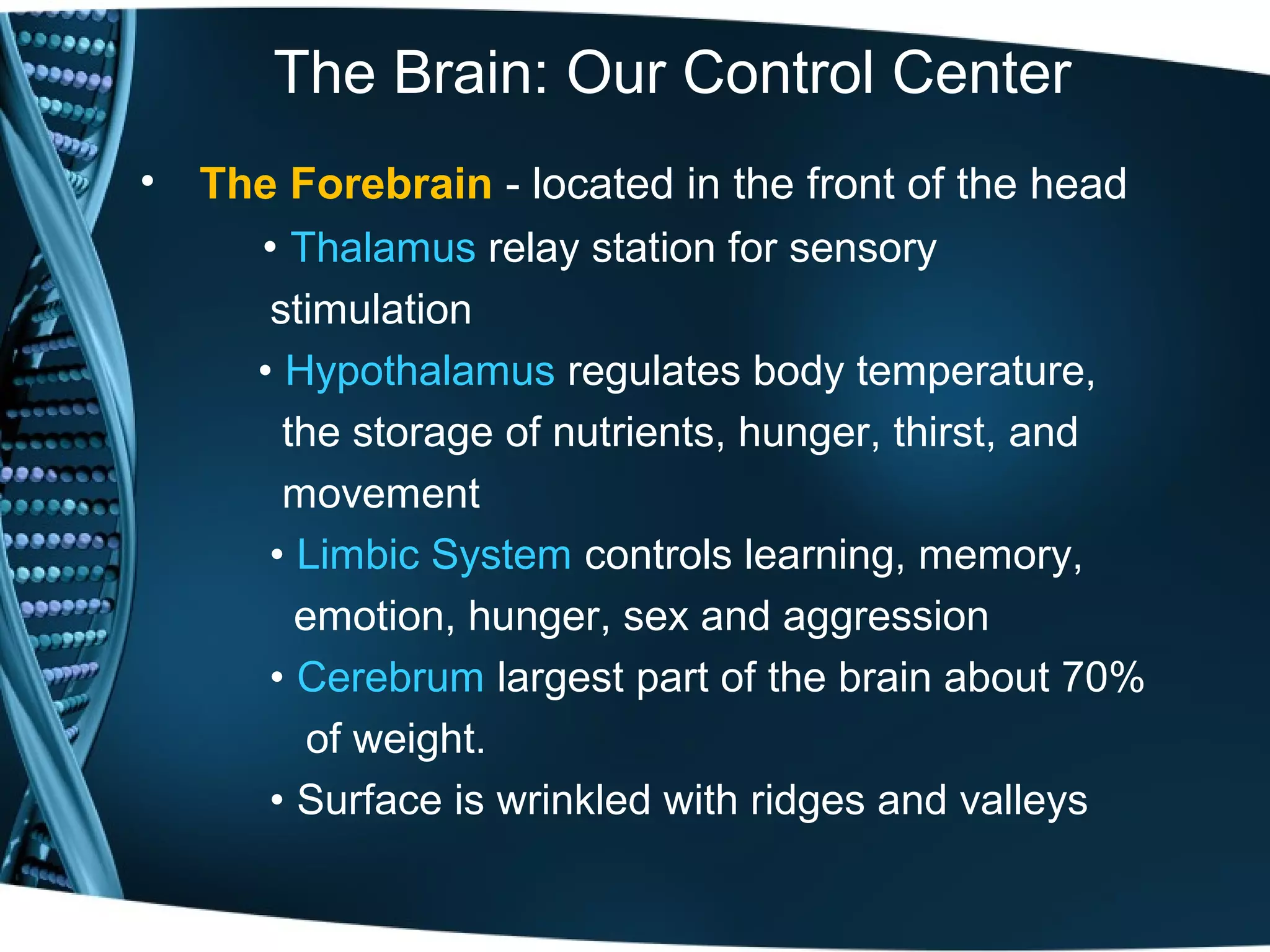 Body Brain Behaviour Brain and behaviour dr vbk | PPT