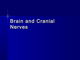 Brain and CranialBrain and Cranial
NervesNerves
 
