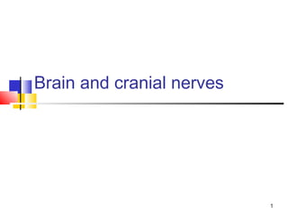 1
Brain and cranial nerves
 