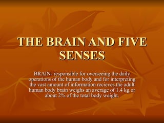 THE BRAIN AND FIVE SENSES BRAIN- responsible for overseeing the daily operations of the human body and for interpreting the vast amount of information recieves.the adult human body brain weighs an average of 1.4 kg or about 2% of the total body weight. 