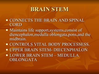 BRAIN STEM <ul><li>CONNECTS THE BRAIN AND SPINAL CORD </li></ul><ul><li>Maintains life support,systems,consist of dienceph...