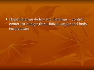 <ul><li>Hypothalamus-below the thalamus – control center for hunger,thirst,fatique,anger and body temperature </li></ul>