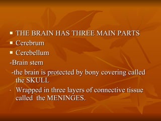<ul><li>THE BRAIN HAS THREE MAIN PARTS </li></ul><ul><li>Cerebrum </li></ul><ul><li>Cerebellum </li></ul><ul><li>-Brain st...