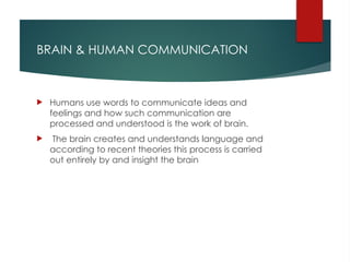 BRAIN AND HUMAN COMMUNICATION chap 4 .pptx
