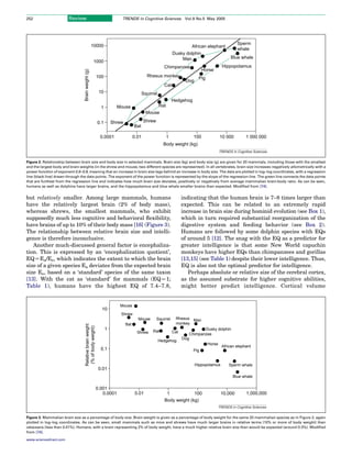 252                      Review                                           TRENDS in Cognitive Sciences                 Vol.9 No.5 May 2005




                                                     10000                                                                                           Sperm
                                                                                                                          African elephant
                                                                                                                                                     whale
                                                                                                                Dusky dolphin
                                                                                                                    Man                         Blue whale
                                                     1000
                                                                                                        Chimpanzee                          Hippopotamus
                                                                                                                                 Horse


                                  Brain weight (g)
                                                            100                              Rhesus monkey                    Pig
                                                                                                                       Dog
                                                                                                        Cat
                                                             10                            Squirrel
                                                                                                                Hedgehog
                                                              1         Mouse                         Rat
                                                                                             Mouse

                                                            0.1       Shrew                Shrew
                                                                                    Bat

                                                             0.0001                 0.01                    1              100           10 000          1 000 000
                                                                                                        Body weight (kg)
                                                                                                                                         TRENDS in Cognitive Sciences

Figure 2. Relationship between brain size and body size in selected mammals. Brain size (kg) and body size (g) are given for 20 mammals, including those with the smallest
and the largest body and brain weights (in the shrew and mouse, two different species are represented). In all vertebrates, brain size increases negatively allometrically with a
power function of exponent 0.6–0.8, meaning that an increase in brain size lags behind an increase in body size. The data are plotted in log–log coordinates, with a regression
line (black line) drawn through the data points. The exponent of the power function is represented by the slope of the regression line. The green line connects the data points
that are furthest from the regression line and indicates how much brain size deviates, positively or negatively from average mammalian brain:body ratio. As can be seen,
humans as well as dolphins have larger brains, and the hippopotamus and blue whale smaller brains than expected. Modiﬁed from [74].


but relatively smaller. Among large mammals, humans                                                                   indicating that the human brain is 7–8 times larger than
have the relatively largest brain (2% of body mass),                                                                  expected. This can be related to an extremely rapid
whereas shrews, the smallest mammals, who exhibit                                                                     increase in brain size during hominid evolution (see Box 1),
supposedly much less cognitive and behavioral ﬂexibility,                                                             which in turn required substantial reorganization of the
have brains of up to 10% of their body mass [16] (Figure 3).                                                          digestive system and feeding behavior (see Box 2).
The relationship between relative brain size and intelli-                                                             Humans are followed by some dolphin species with EQs
gence is therefore inconclusive.                                                                                      of around 5 [12]. The snag with the EQ as a predictor for
   Another much-discussed general factor is encephaliza-                                                              greater intelligence is that some New World capuchin
tion. This is expressed by an ‘encephalization quotient’,                                                             monkeys have higher EQs than chimpanzees and gorillas
EQZEa/Ee, which indicates the extent to which the brain                                                               [13,15] (see Table 1) despite their lower intelligence. Thus,
size of a given species Ea deviates from the expected brain                                                           EQ is also not the optimal predictor for intelligence.
size Ee, based on a ‘standard’ species of the same taxon                                                                 Perhaps absolute or relative size of the cerebral cortex,
[13]. With the cat as ‘standard’ for mammals (EQZ1;                                                                   as the assumed substrate for higher cognitive abilities,
Table 1), humans have the highest EQ of 7.4–7.8,                                                                      might better predict intelligence. Cortical volume


                                                                         Mouse
                                                              10
                                                                          Shrew
                                                                                      Mouse        Squirrel      Rhesus Man
                                                                              Bat                                monkey
                                    Relative brain weight
                                     (% of body weight)




                                                                  1                             Rat
                                                                                                                                Dusky dolphin
                                                                                      Shrew                     Cat
                                                                                                                         Chimpanzee
                                                                                                                      Dog
                                                                                                      Hedgehog
                                                                                                                                 Horse
                                                                                                                                        African elephant
                                                              0.1                                                          Pig


                                                                                                                             Hippopotamus      Sperm whale
                                                             0.01
                                                                                                                                                 Blue whale

                                                            0.001
                                                               0.0001                0.01                1            100                   10,000       1,000,000
                                                                                                        Body weight (kg)
                                                                                                                                         TRENDS in Cognitive Sciences

Figure 3. Mammalian brain size as a percentage of body size. Brain weight is given as a percentage of body weight for the same 20 mammalian species as in Figure 2, again
plotted in log–log coordinates. As can be seen, small mammals such as mice and shrews have much larger brains in relative terms (10% or more of body weight) than
cetaceans (less than 0.01%). Humans, with a brain representing 2% of body weight, have a much higher relative brain size than would be expected (around 0.3%). Modiﬁed
from [74].

www.sciencedirect.com
 