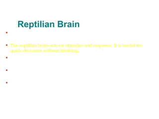 Brain And Its Functions Part 1 17203 | PPT