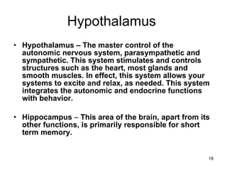 Hypothalamus  Hypothalamus – The master control of the autonomic nervous system, parasympathetic and sympathetic. This system stimulates and controls structures such as the heart, most glands and smooth muscles. In effect, this system allows your systems to excite and relax, as needed. This system integrates the autonomic and endocrine functions with behavior.   Hippocampus  –  This area of the brain, apart from its other functions, is primarily responsible for short term memory. 