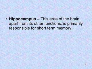 Hippocampus  – This area of the brain, apart from its other functions, is primarily responsible for short term memory. 