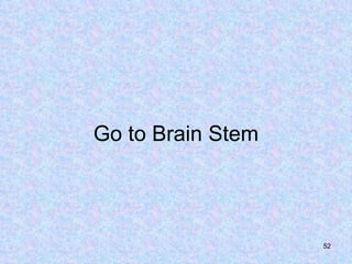 Go to Brain Stem 
