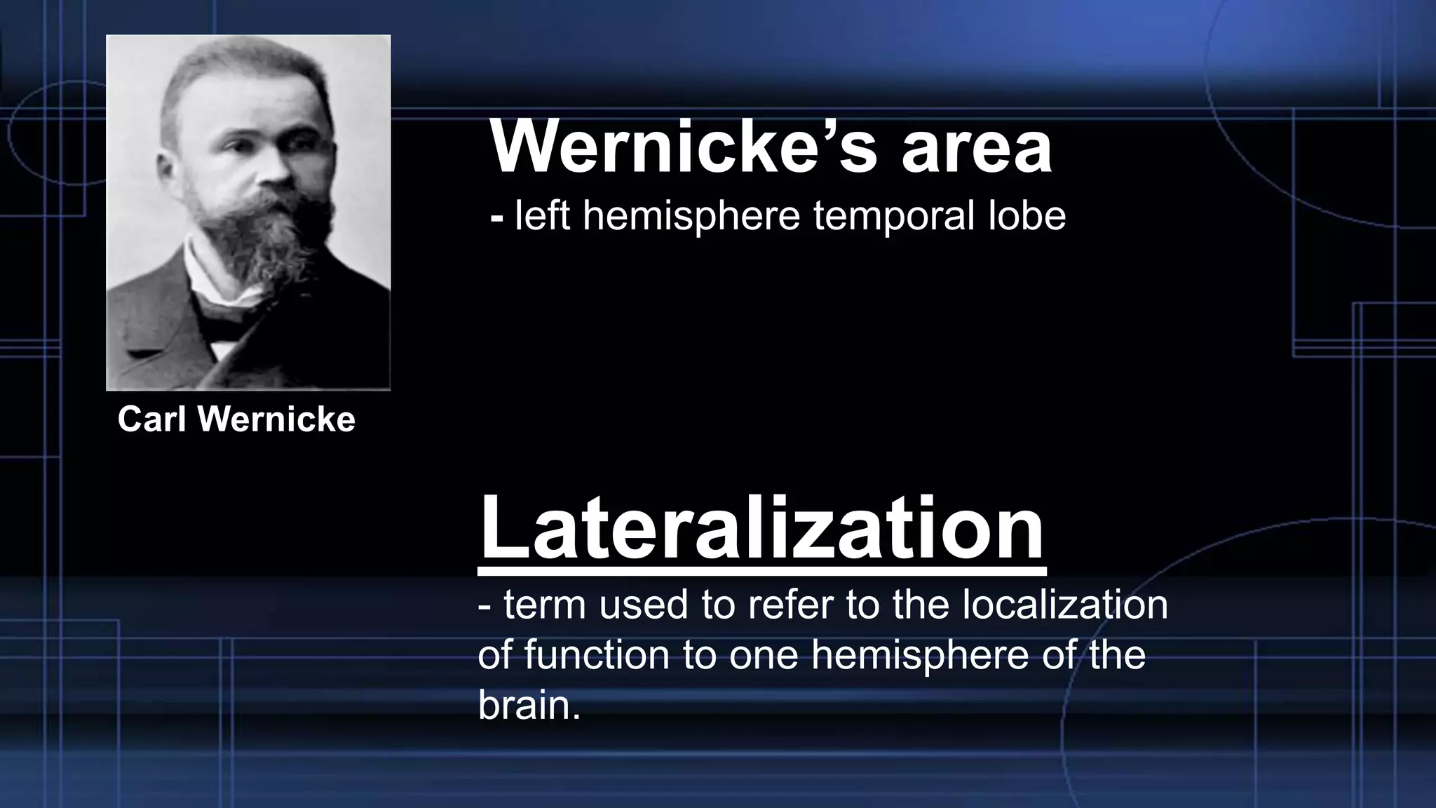 Carl Wernicke
Wernicke’s area
- left hemisphere temporal lobe
Lateralization
- term used to refer to the localization
of function to one hemisphere of the
brain.
 