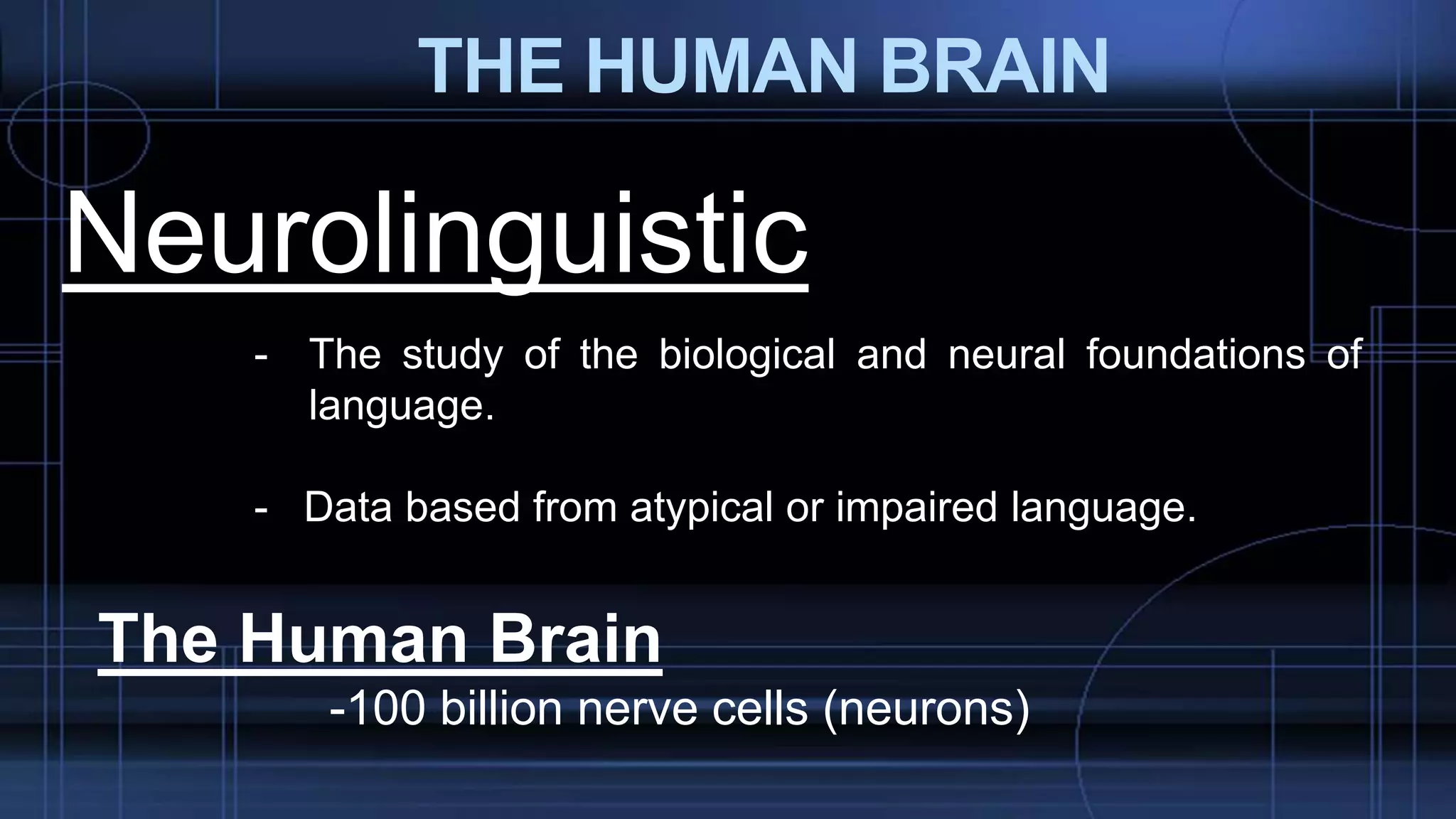 THE HUMAN BRAIN
- The study of the biological and neural foundations of
language.
- Data based from atypical or impaired language.
Neurolinguistic
The Human Brain
-100 billion nerve cells (neurons)
 