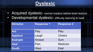 Dyslexic
• Acquired dyslexic- normal readers before brain lesions
• Developmental dyslexic- difficulty learning to read
Stimulus Response 1 Response 2
Act Play Play
Applaud Laugh Cheers
Example Answer Sum
Heal Pain Medicine
South West East
 