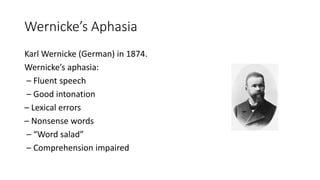 Wernicke’s Aphasia
Karl Wernicke (German) in 1874.
Wernicke’s aphasia:
– Fluent speech
– Good intonation
– Lexical errors
– Nonsense words
– “Word salad”
– Comprehension impaired
 