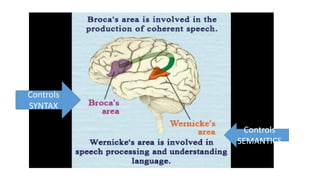 Controls
SYNTAX
Controls
SEMANTICS
 