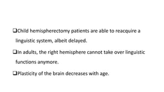 Child hemispherectomy patients are able to reacquire a
linguistic system, albeit delayed.
In adults, the right hemisphere cannot take over linguistic
functions anymore.
Plasticity of the brain decreases with age.
 